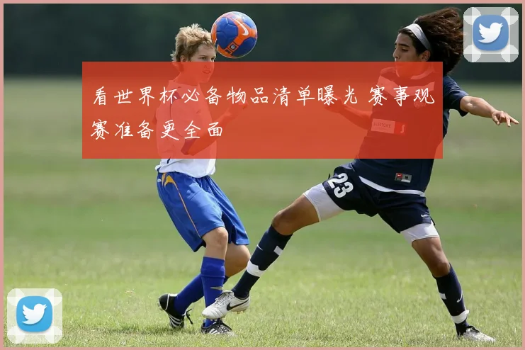 看世界杯必备物品清单曝光 赛事观赛准备更全面