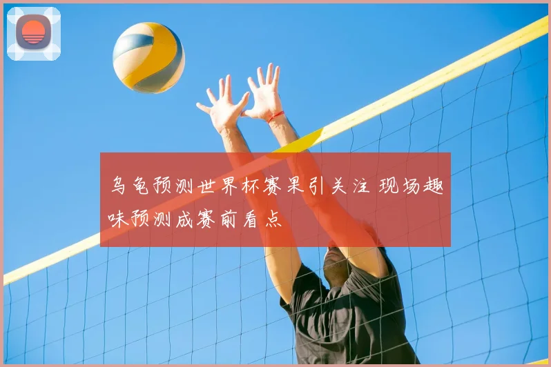 乌龟预测世界杯赛果引关注 现场趣味预测成赛前看点