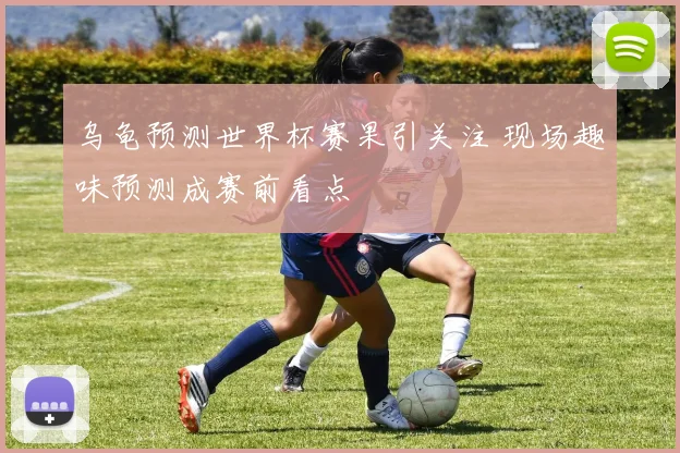 乌龟预测世界杯赛果引关注 现场趣味预测成赛前看点