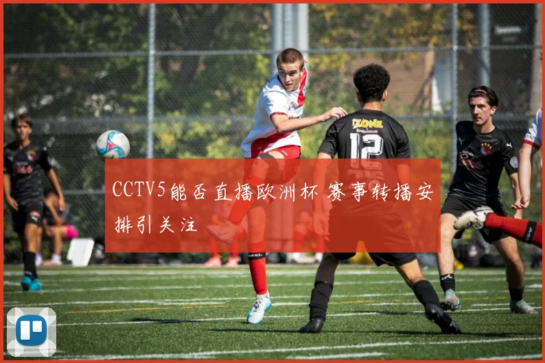 CCTV5能否直播欧洲杯 赛事转播安排引关注