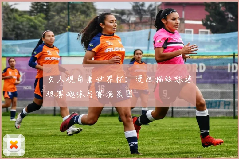 女人视角看世界杯:漫画描绘球迷观赛趣味与赛场氛围