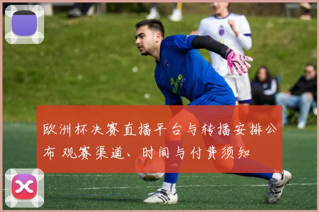 欧洲杯决赛直播平台与转播安排公布 观赛渠道、时间与付费须知