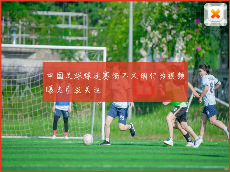 中国足球球迷赛场不文明行为视频曝光引发关注